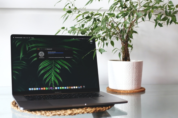 Serviços Jurídicos